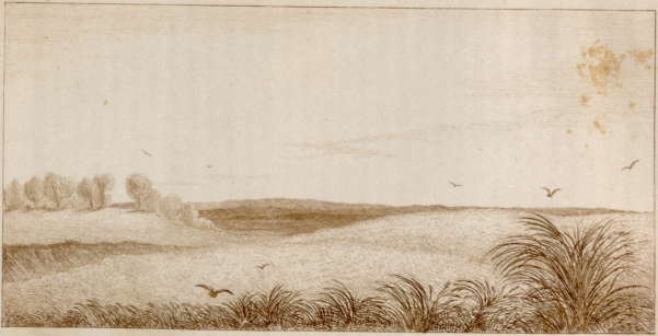 Rolling Prairie of Illinois