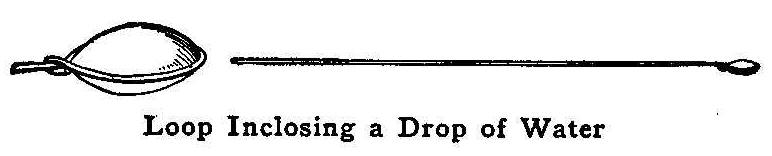 Loop Inclosing a Drop of Water 