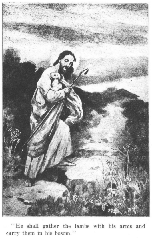 [Illustration: "He shall gather the lambs with his arms and carry them
in his bosom."]