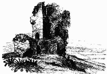 KILCOLMAN CASTLE.