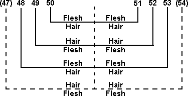 diagram of manuscript as described in text