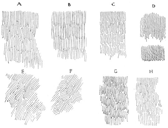 Fig. 12