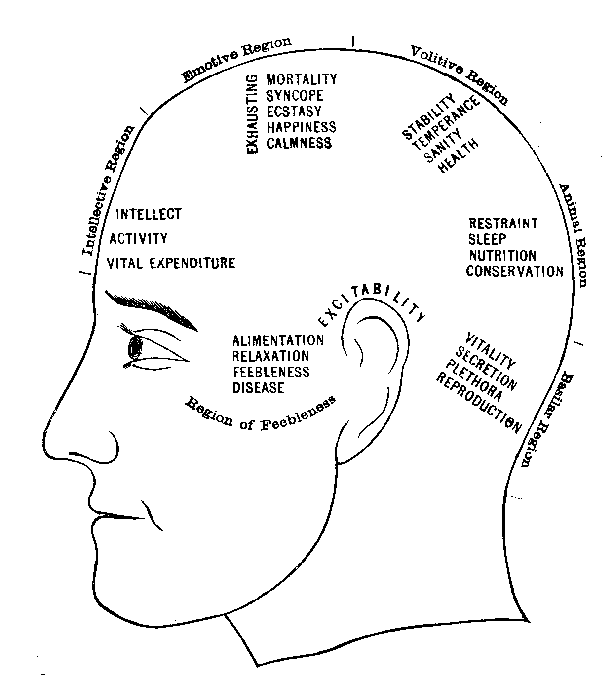 Illustration:
Fig. 72.