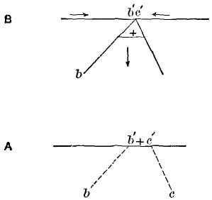 Fig. 21.—Diagram showing how a portion of the earth's
surface may be sunk by faulting. Fig. A shows the original position;
B, the position after faulting; b b' and c c' the planes of the
faults; the arrows the direction of the movement.