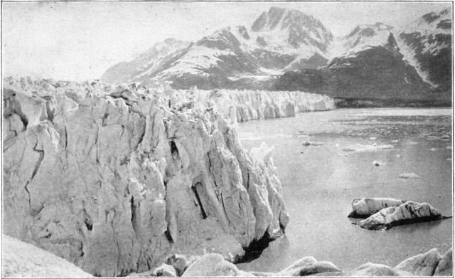 Front of Muir Glacier, showing ice entering the sea;
also small icebergs.