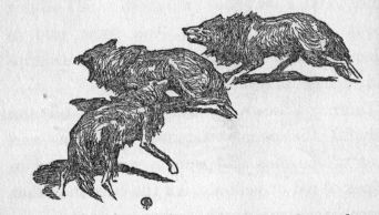 Wolves