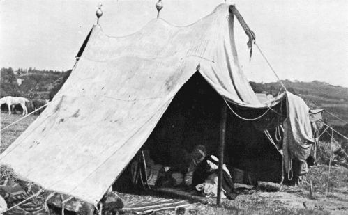 TENT OF AN ALGERIAN SHEKH.