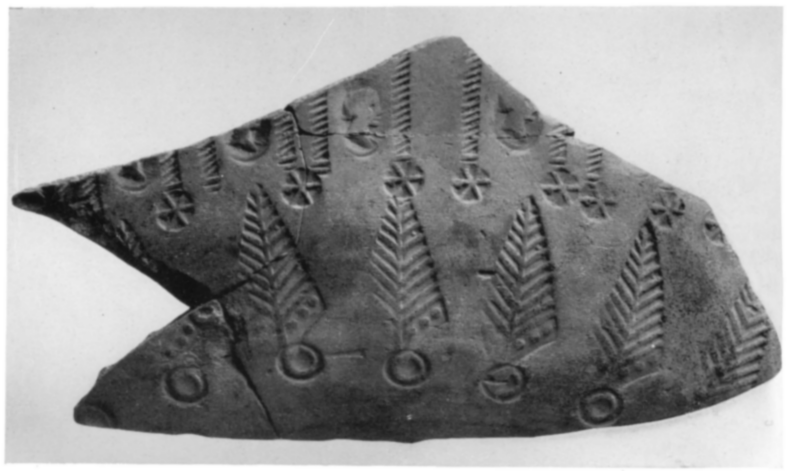 Fragment of stamped ware