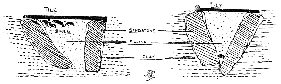 Fig. 17. Graves in the Infirmary Field, Chester