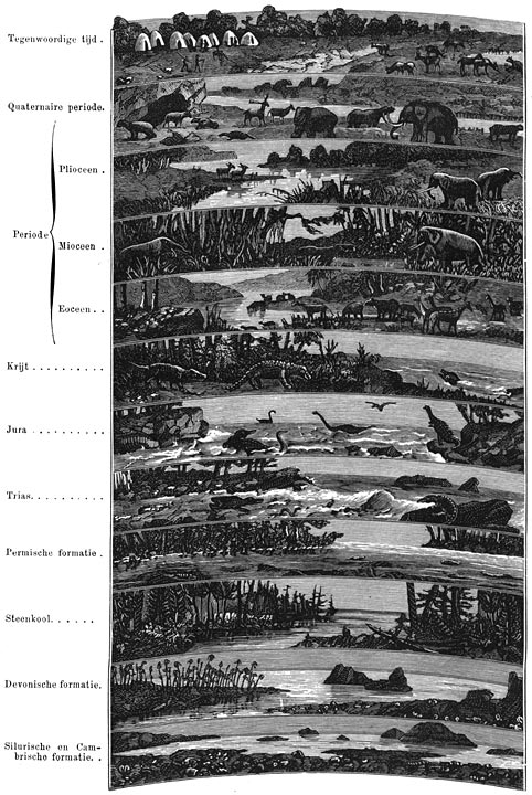 Geleidelijke ontwikkeling der planten- en dierenwereld op aarde.
