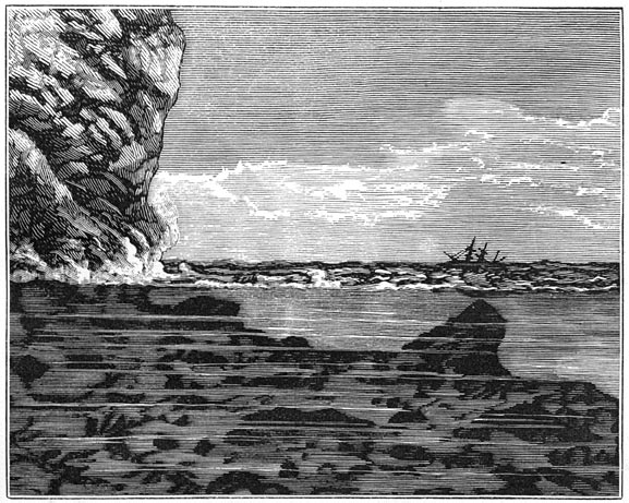 Fig. 100. Klip aan de Middellandsche zee.