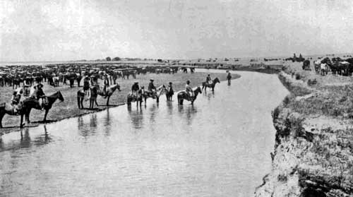 WATERING A HERD.