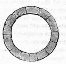 Horizontal Section, 20 feet circumference.