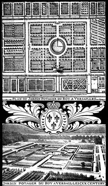 The Potager du Roy, Versailles