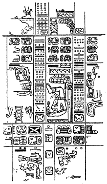 A page from the codex