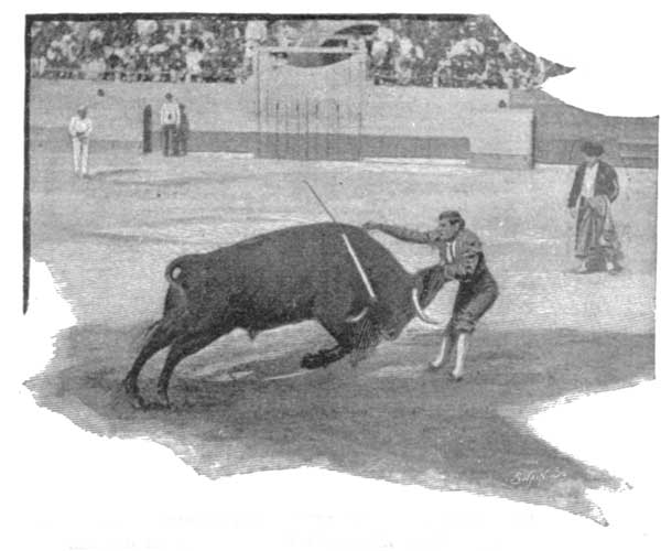 ESPARTERO, THE FAMOUS BULL-FIGHTER, WHO WAS KILLED IN THE
MADRID ARENA IN JULY 1894.