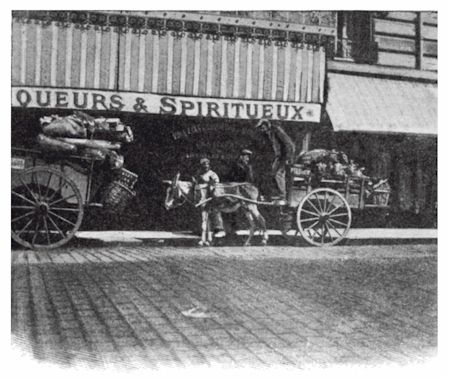 (donkey cart in front of market)