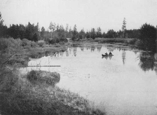 On a backwater of the Deschutes