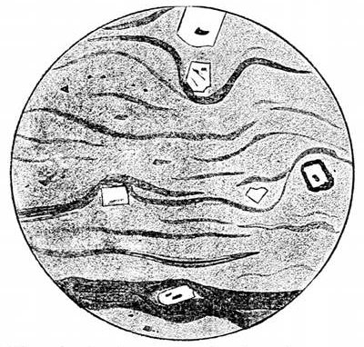 Fig. 44.

Slice of volcanic glass under the microscope,
showing large included crystals brought up
from inside the volcano in the fluid lava. The
dark bands are lines of microliths formed as
the lava cooled. (J. Geikie.)