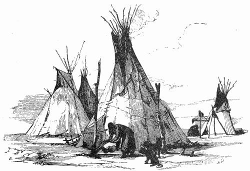 Fig. 2.—Tipis.