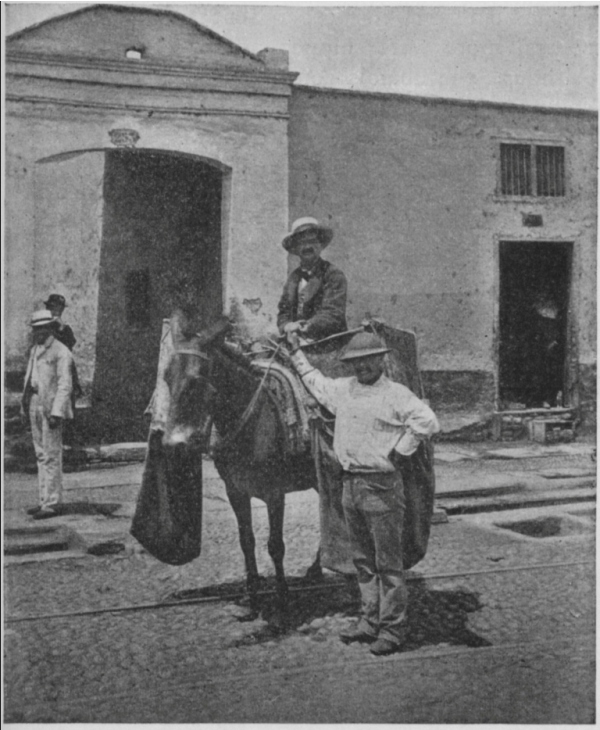 BAKER ON HORSEBACK, LIMA.