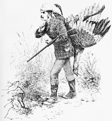 THE BUSTARD-SHOOTER—TRIUMPH!