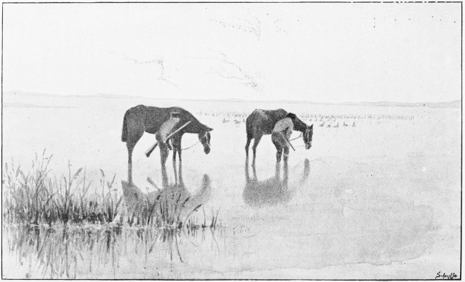 Plate XLII.

SPANISH WILDFOWLERS WITH CABRESTO PONIES.

Page 365.