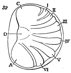 Fig. 32