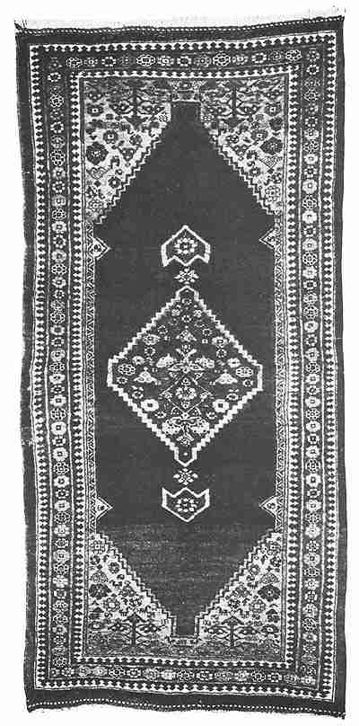 Plate 24. Bijar Rug