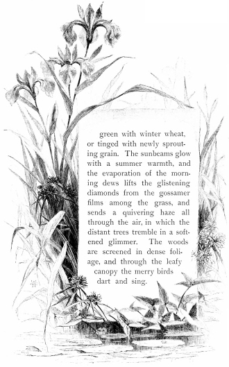 green with winter wheat, or tinged with newly sprouting grain. The sunbeams
glow with a summer warmth, and the evaporation of the morning dews lifts
the glistening diamonds from the gossamer films among the grass, and
sends a quivering haze all through the air, in which the distant trees
tremble in a softened glimmer. The woods are screened in dense foliage,
and through the leafy canopy the merry birds dart and sing.