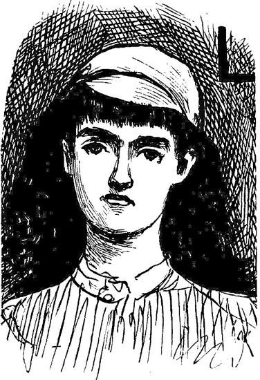 Ornamental Illustration of Lottie