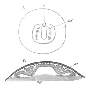 Illustration: Figure 12