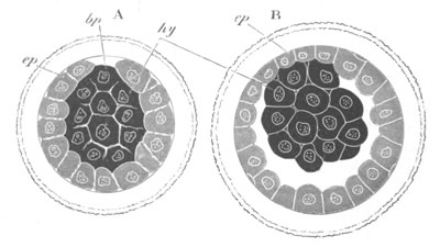 Illustration: Figure 134