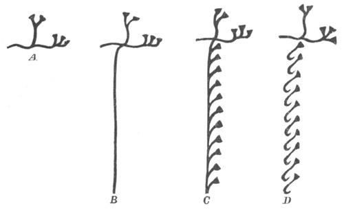 Illustration: Figure 384