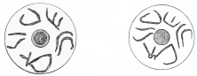 Nos. 292, 293. Two Trojan Whorls from the same depth (7
M.) with an identical inscription.