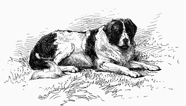 LANDSEER-NEWFOUNDLAND. CH. "KETTERING WONDER". LADY TOLLEMACHE OWNER.