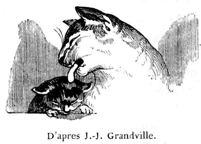 D'après J.-J. Grandville.