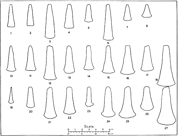 Plate I