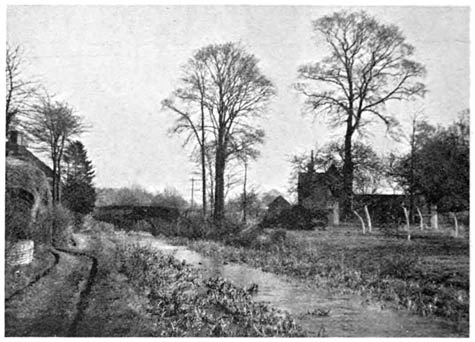 Disused Canal between Abingdon and Wantage