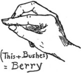 Berry