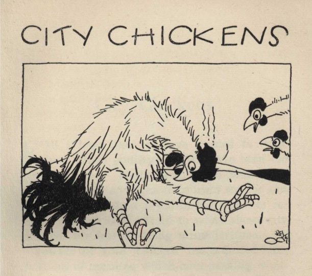 CITY CHICKENS