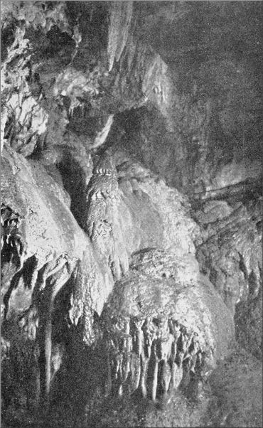 ENTRANCE OF STALACTITE CHAMBER, SWILDON'S HOLE.