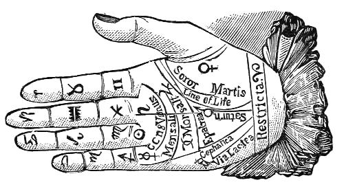 Diagram of palm of a right hand, lines marked out