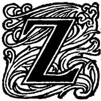 Z