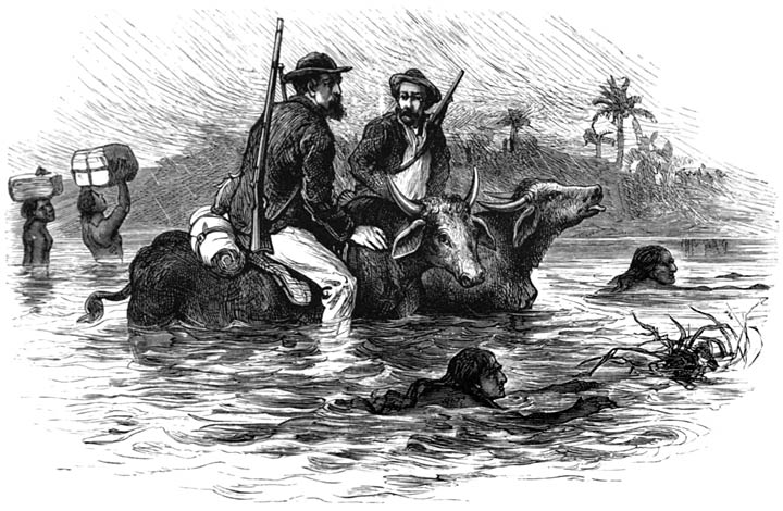 FORDING TAMPASSUK RIVER ON BUFFALOES.