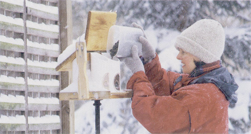 Winter feeding