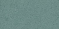 XLVIII_37′′′′___Grayish_Blue-Green