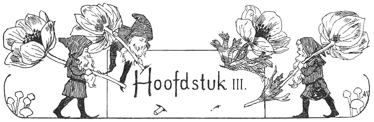 Hoofdstuk III.