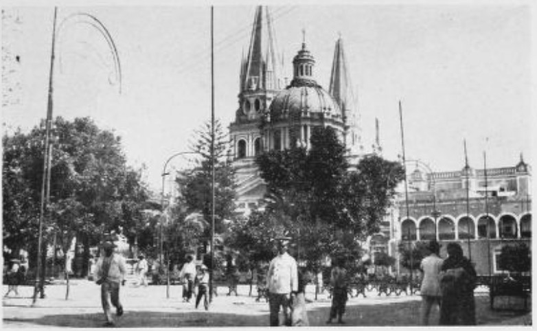 THE ORANGE TREES IN GUADALAJARA’S PLAZA WERE GOLDEN
THROUGHOUT THE YEAR