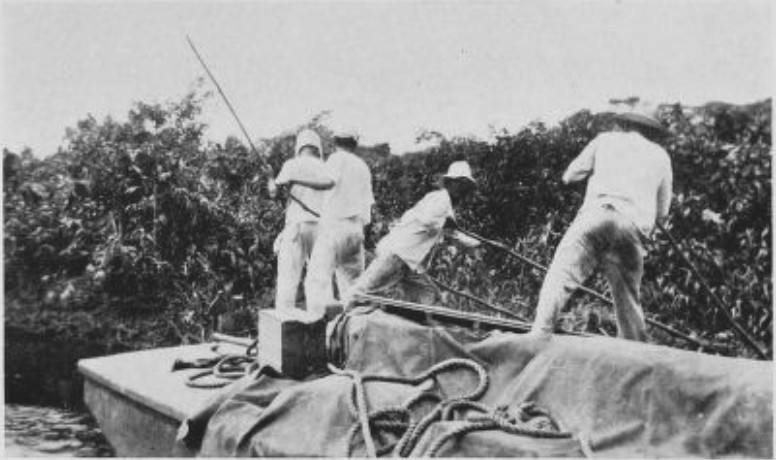 FOR THREE DAYS THE BOATMEN POLED THE LAUNCH THROUGH
SHALLOWS FRAMED IN RANK GREEN JUNGLE